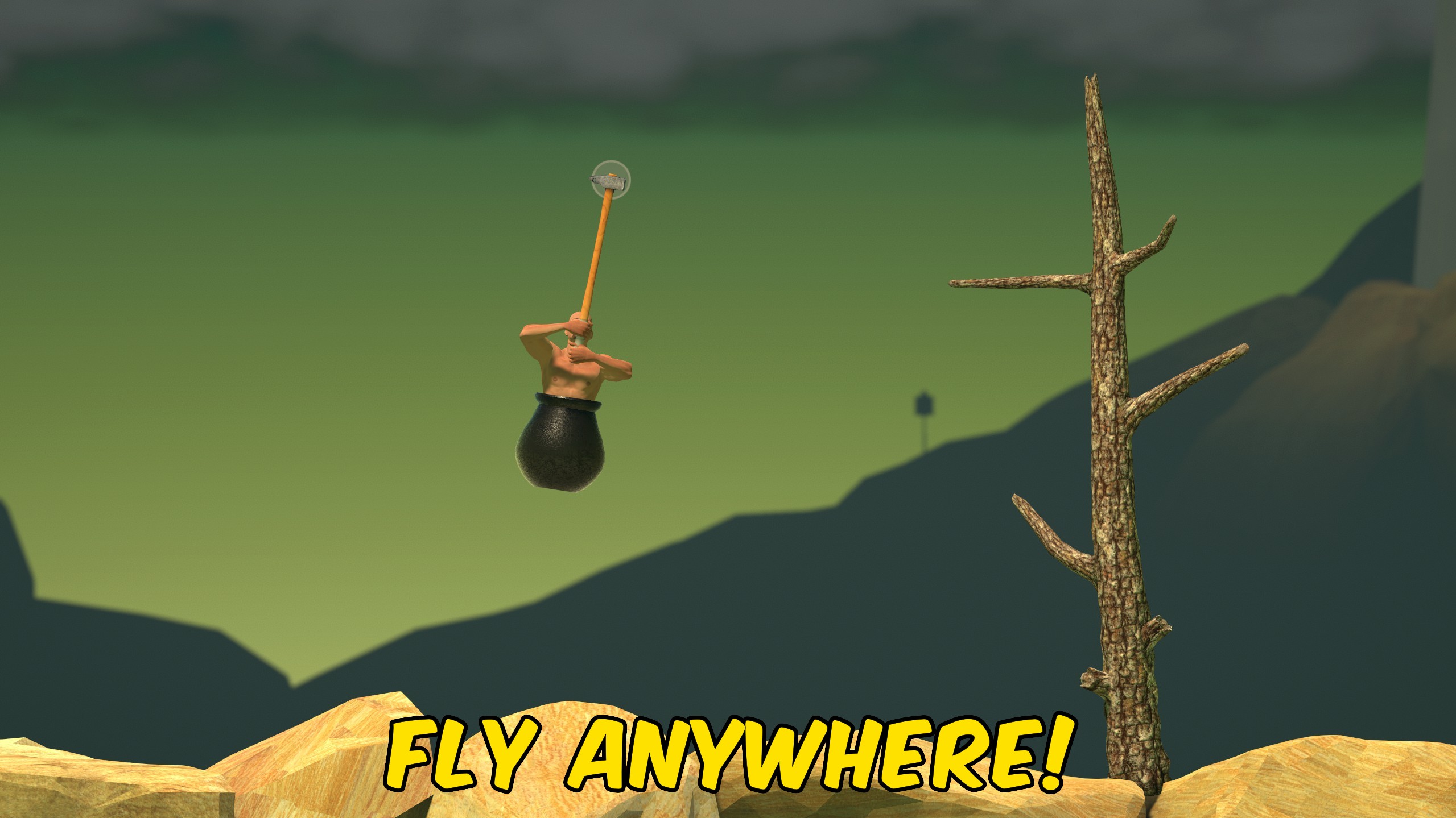 Fly